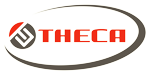 Theca